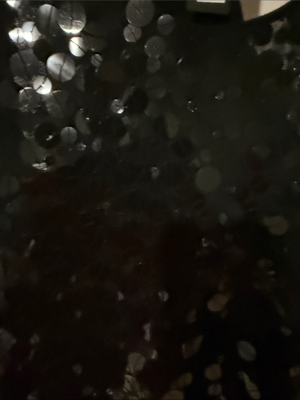 The Limited Black Sequin Tank Dress - Picture 4 of 8